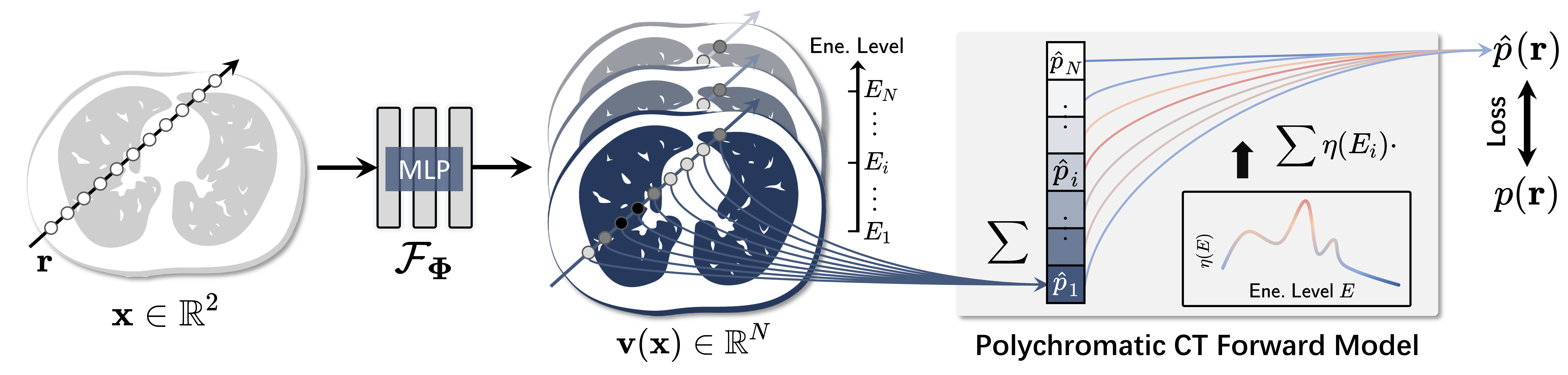Unsupervised Polychromatic Neural Representation for CT Metal Artifact Reduction